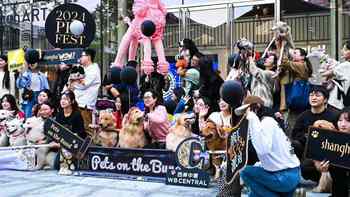 金毛巡游展：温馨与欢乐的聚会 