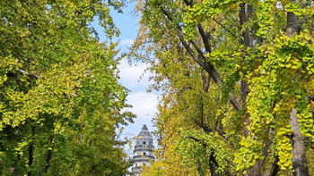 临时起意的苏州半日游 