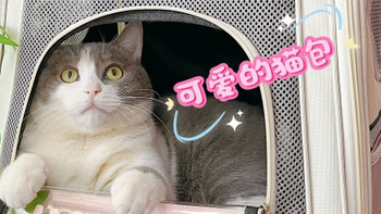 猫包购后晒：我家喵星人的新宠