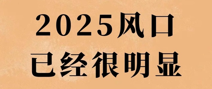 2025年风口已经很明显了