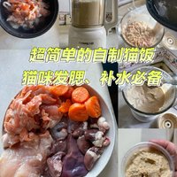 新手自制猫饭｜超级补水｜发腮长毛必备❗️❗️