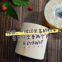 据说，一根20米的竹子生长只要两个月?  真的吗？也有人喜欢用竹浆纸吗？