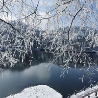 庐山下雪旅游攻略超级详细