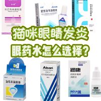 宠物细菌性vs病毒性滴眼液？科学用药很重要💊