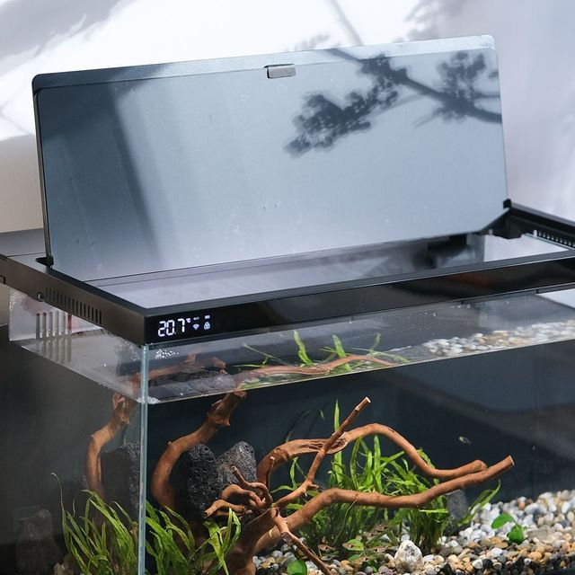 新手小白第一次养鱼，说说我的装备，以及我遇到的一些麻烦