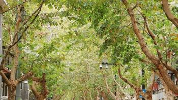 谁懂啊！这个地方每次去都有新发现，好逛得有些过分了~ 