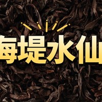 海堤水仙AT117A测评，一款适合老茶友的口粮茶