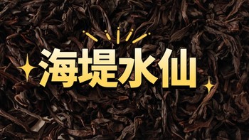 海堤水仙AT117A测评，一款适合老茶友的口粮茶