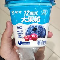 蒙牛 大果粒酸奶 蓝莓味风味发酵乳 260g