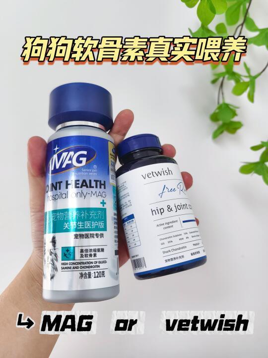 MAG还是vetwish？吃对了软骨素事半功倍！