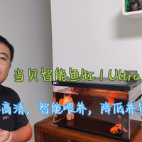 当贝智能鱼缸1Ultra，炫酷高清，智能喂养，养鱼竟如此简单