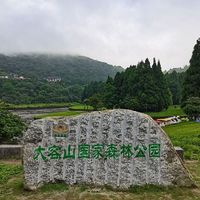 暖冬游“天然氧吧”广西大容山森林公园最适宜不过了