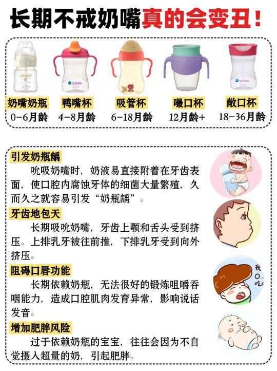 长期用奶瓶真的会变丑！✅宝宝杯子分阶段攻略