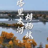 胡杨，沙漠中的生命赞歌