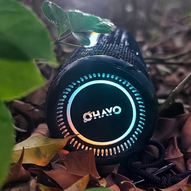 户外便携音响小钢炮：雷登X10 MAX，带给你震撼的音效体验！