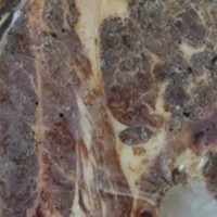 京东京造海盐黑胡椒羊肩排1kg 羊肉带骨羔羊排烧烤食材