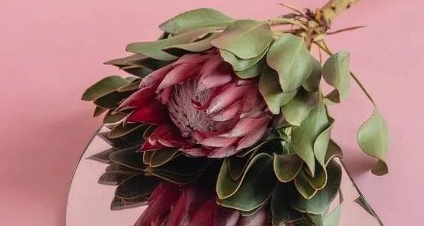 推荐几款实用的婴儿脚踏琴健身架玩具