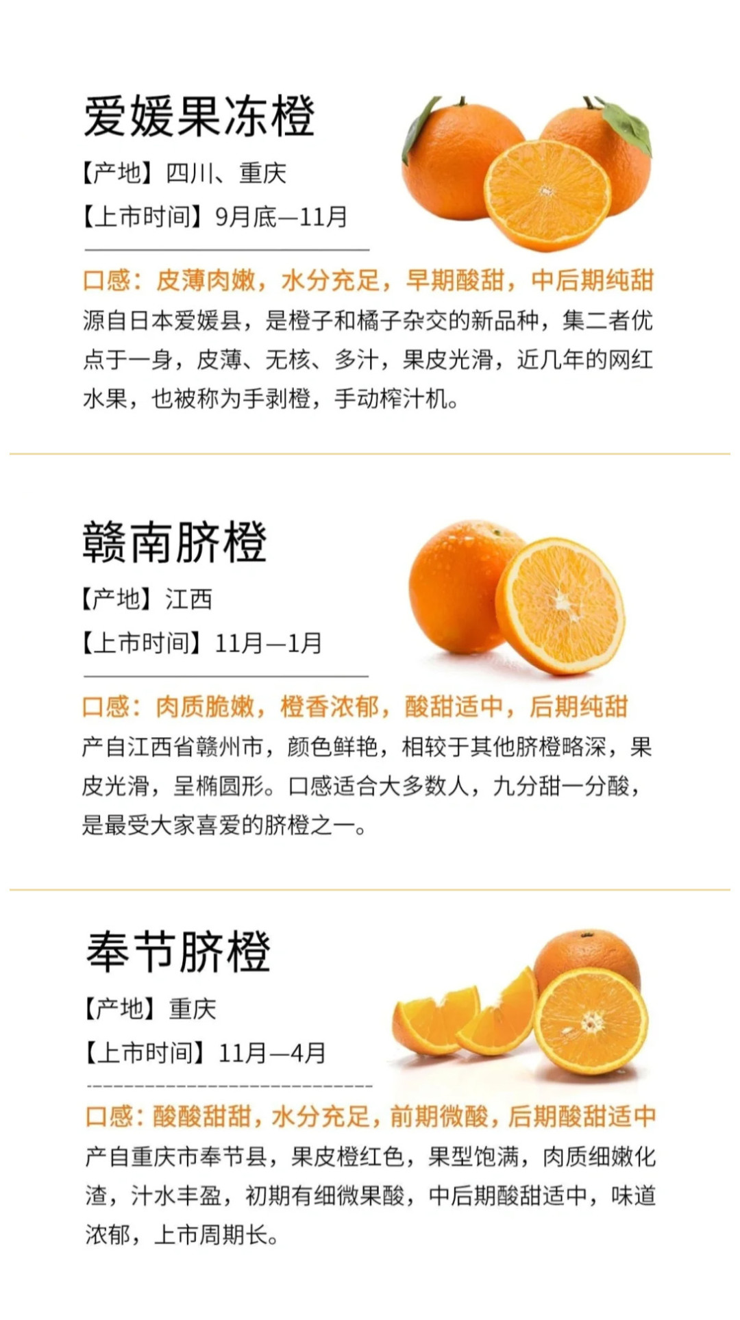 南橘子 