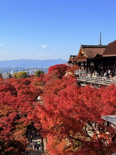 日本旅游攻略-京都，绝佳路线