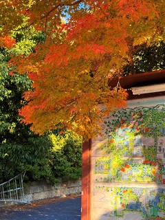 日本旅游攻略-京都，绝佳路线