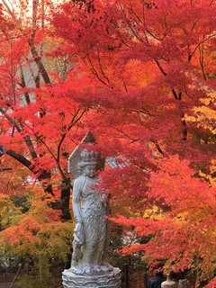 日本旅游攻略-京都，绝佳路线