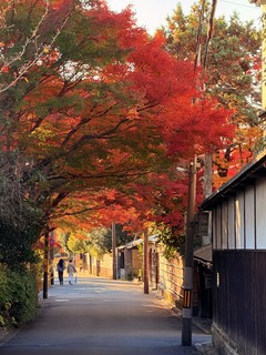 日本旅游攻略-京都，绝佳路线