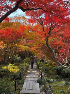 日本旅游攻略-京都，绝佳路线