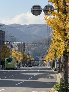 日本旅游攻略-京都，绝佳路线