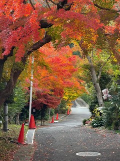 日本旅游攻略-京都，绝佳路线