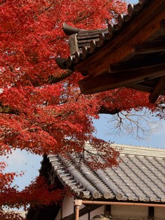 日本旅游攻略-京都，绝佳路线