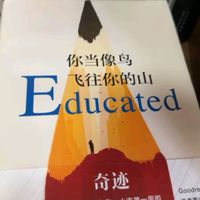 《你当像鸟飞往你的山》：心灵之旅，启程！