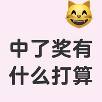 中了奖有什么打算