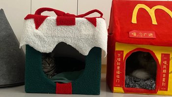 教你低成本做个简易猫屋，猫猫过冬不用愁