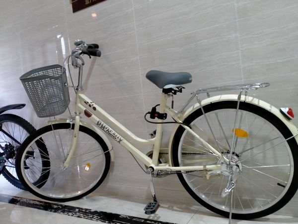 凤凰牌自行车，我的取快递专用车！