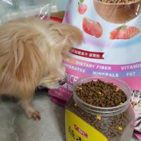 麦富迪猫粮营养森林成幼猫粮2kg英美短蓝猫通用全价营养猫饭主食