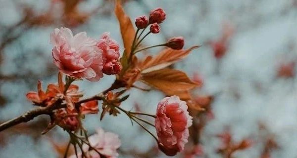 【实用指南】秋冬款儿童保暖内衣的选购与常见问题解答