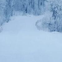 吉林 万科松花湖雪场