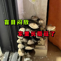 除醛盲目闷放3个月，精美的装修都打水漂了