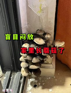 除醛盲目闷放3个月，精美的装修都打水漂了