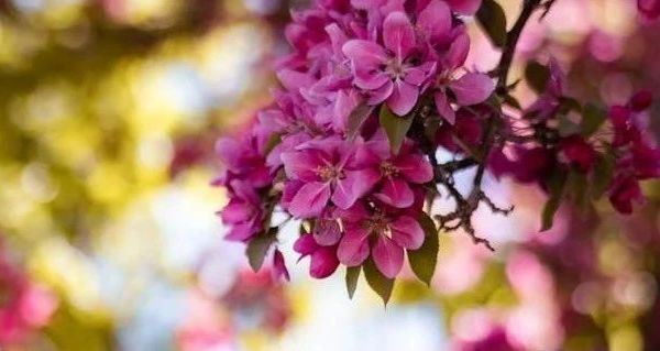 秋冬季儿童保暖内衣套装选购指南