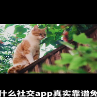 有哪些好玩人气高又免费的社交软件？#app推荐 