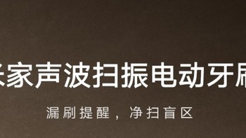 米家小米声波扫振电动牙刷