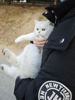 萌宠必备！超实用宠物双肩包大推荐