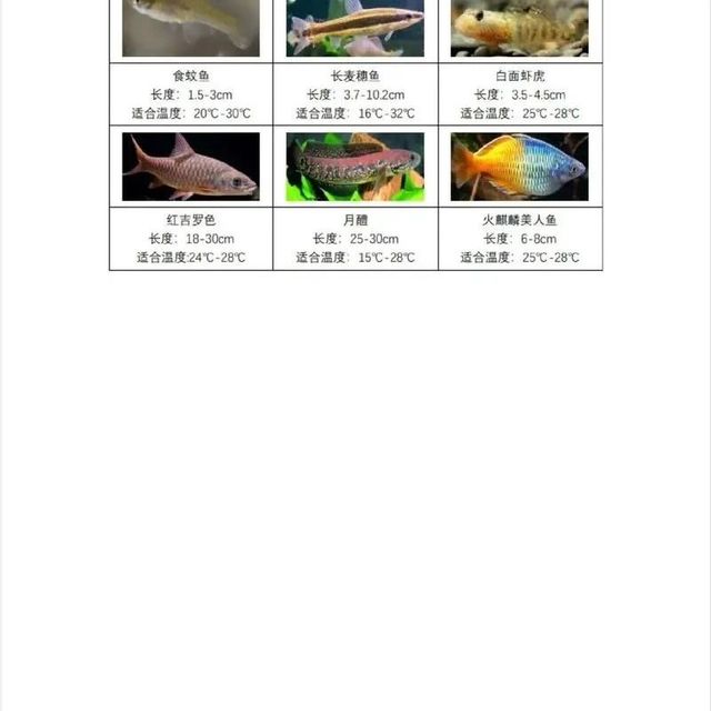 淡水宠物鱼养殖方法大全，专家教你如何成功养活你的水族宝贝