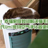 猫奴狂喜！养猫家庭如何解决猫毛异味问题，舒乐氏Umi宠物净化器