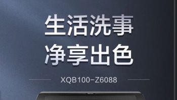 海尔 XQB100-Z6088 直驱波轮洗衣机 10KG