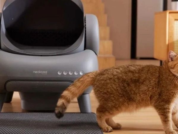 靠宠物用品逆天改命，它把单品卖到千万，跨境大卖把自己盘活了