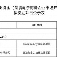 2300万，深圳资助跨境电商优秀独立站项目，16家企业上榜