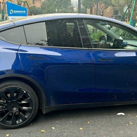 特斯拉Model Y，作为新能源汽车界的佼佼者