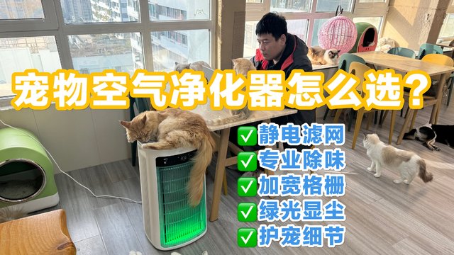 宠物空气净化器如何选？舒乐氏全面升级！